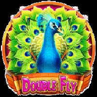 Double fly