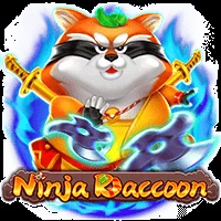Ninja raccoon