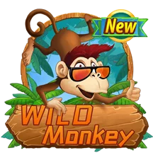Wild Monkey