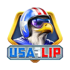 USA Flip