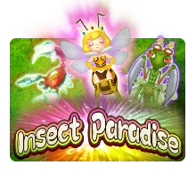 Insect Paradise