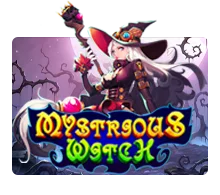 Mysterious Witch