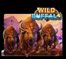 WILD BUFFALO