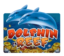 Dolphin Reef