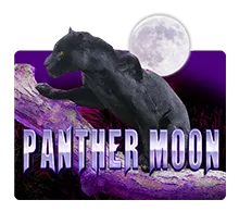 Panther Moon