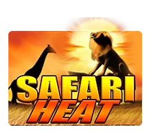 Safari Heat